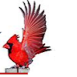 Meet your Posher, Rodney